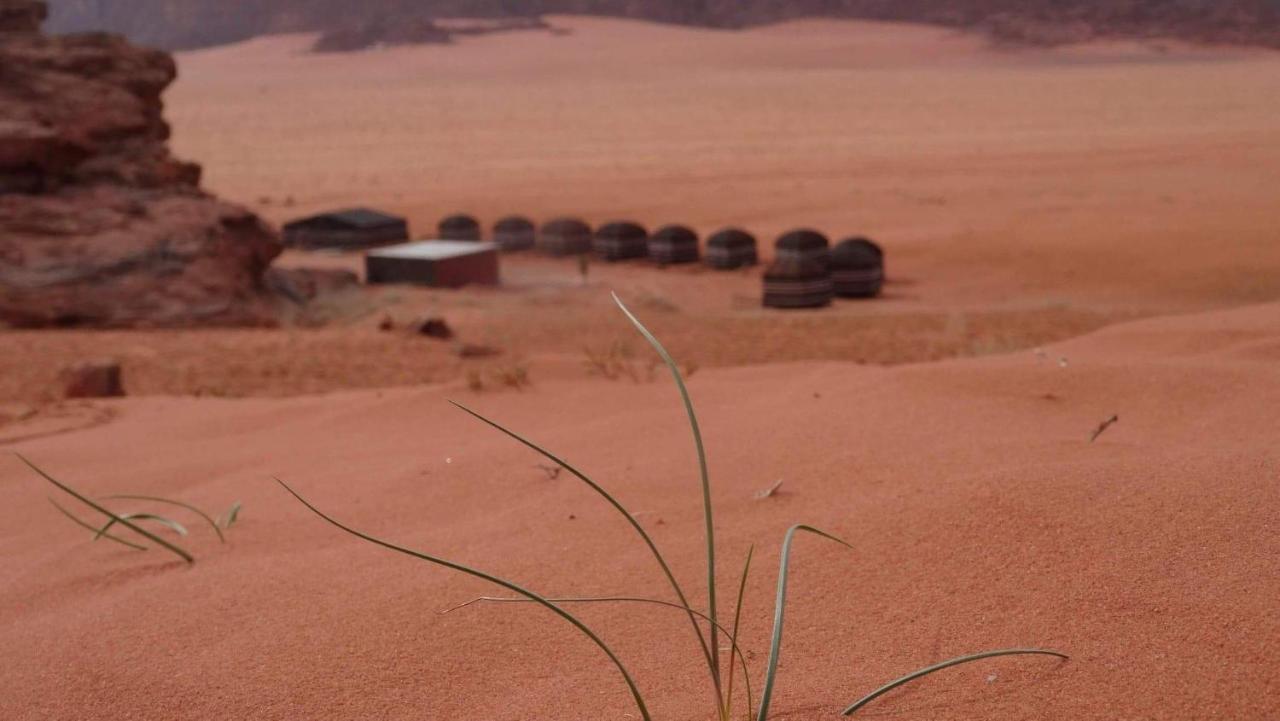 Hala Rum Camp Wadi Rum Zewnętrze zdjęcie